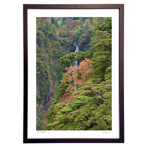 yX[p[SALEzzŉ J̑ (mitan)CeA Ǌ| z i |X^[ A[g rO ւɏ  v[g _ A[gt[