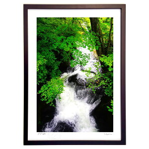 ŉ ΂̐ (yumeno)CeA Ǌ| z i |X^[ A[g rO ւɏ  v[g _ A[gt[