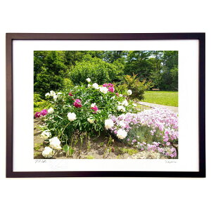 yX[p[SALEzzŉ sNF̉ (Xm[oj)CeA Ǌ| z i |X^[ A[g rO ւɏ  v[g _ A[gt[