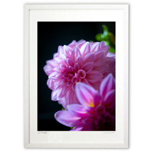 �ŉ� �������_���A (bluewoods07)�C���e���A �Ǌ|�� �z���� ���i�� �|�X�^�[ �A�[�g ���r���O ���ւɏ��� ���� �v���[���g ���_�� �A�[�g�t���[��