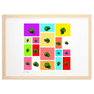 ŉ LLs[} (okiron)CeA Ǌ| z i |X^[ A[g rO ւɏ  v[g _ A[gt[