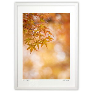 ŉ яHgt (bluewoods07)CeA Ǌ| z i |X^[ A[g rO ւɏ  v[g _ A[gt[