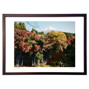 ŉ яH̔ (A.HARASHINA)CeA Ǌ| z i |X^[ A[g rO ւɏ  v[g _ A[gt[