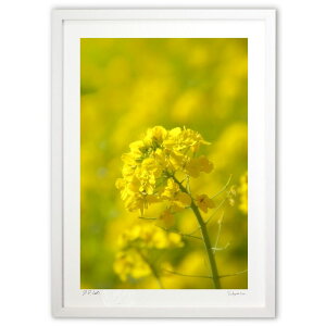 yX[p[SALEzzŉ v؂̉ (w)CeA Ǌ| z i |X^[ A[g rO ւɏ  v[g _ A[gt[