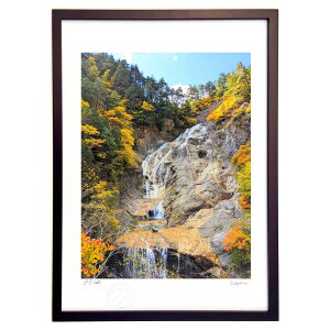 yX[p[SALEzzŉ ŉ@W̍gt (cojyoco)CeA Ǌ| z i |X^[ A[g rO ւɏ  v[g _ A[gt[