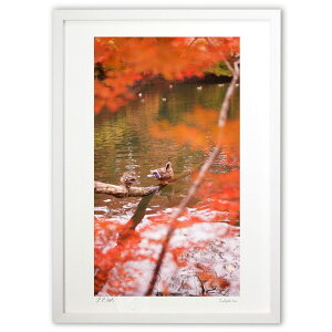 ŉ gťΖʂj (Ζ؎)CeA Ǌ| z i |X^[ A[g rO ւɏ  v[g _ A[gt[