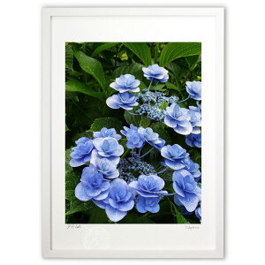 ŉ z (mameco)CeA Ǌ| z i |X^[ A[g rO ւɏ  v[g _ A[gt[