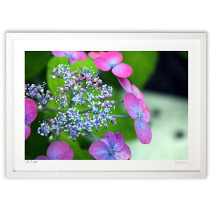 yX[p[SALEzzŉ ~J̉ (q)CeA Ǌ| z i |X^[ A[g rO ւɏ  v[g _ A[gt[