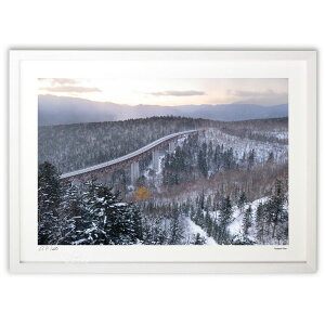 ŉ H~ ( )CeA Ǌ| z i |X^[ A[g rO ւɏ  v[g _ A[gt[