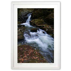 yX[p[SALEzzŉ ~̑ (mitan)CeA Ǌ| z i |X^[ A[g rO ւɏ  v[g _ A[gt[