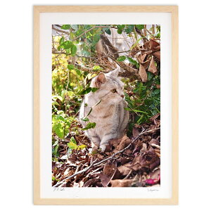 ŉ cƂL (mitan)CeA Ǌ| z i |X^[ A[g rO ւɏ  v[g _ A[gt[