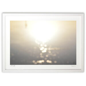 ŉ  (RR)CeA Ǌ| z i |X^[ A[g rO ւɏ  v[g _ A[gt[