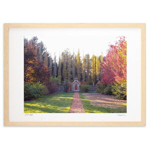 ŉ H̃Of[V (Xm[oj)CeA Ǌ| z i |X^[ A[g rO ւɏ  v[g _ A[gt[