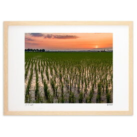 【スーパーSALE半額】版画 夕日 (白ウサギ)インテリア 壁掛け 額入り 風景画 ポスター アート リビング 玄関に飾る 風水 プレゼント モダン アートフレーム