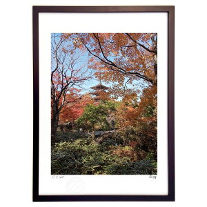 ŉ ʐ^@HiF (X39(Ђ 񂫂イ))