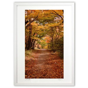 ŉ ӏH̏a (Ζ؎)CeA Ǌ| z i |X^[ A[g rO ւɏ  v[g _ A[gt[