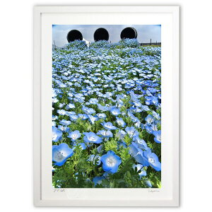 ŉ ltBC2 (mitan)CeA Ǌ| z i |X^[ A[g rO ւɏ  v[g _ A[gt[