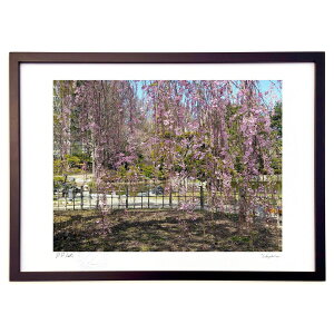 ŉ ti (Xm[oj)CeA Ǌ| z i |X^[ A[g rO ւɏ  v[g _ A[gt[