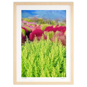 ŉ ΂̃RLA (mitan)CeA Ǌ| z i |X^[ A[g rO ւɏ  v[g _ A[gt[