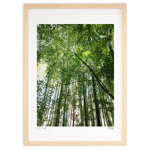 ŉ ta (X39(Ђ 񂫂イ))CeA Ǌ| z i |X^[ A[g rO ւɏ  v[g _ A[gt[