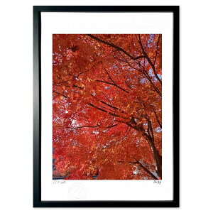 ŉ ʐ^@ԂJ[e (X39(Ђ 񂫂イ))