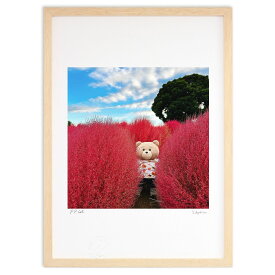 版画 クマさんとコキア (jun_ted)インテリア 壁掛け 額入り 風景画 ポスター アート リビング 玄関に飾る 風水 プレゼント モダン アートフレーム