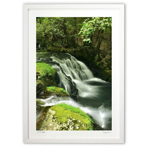 ŉ V΂̑ (mitan)CeA Ǌ| z i |X^[ A[g rO ւɏ  v[g _ A[gt[