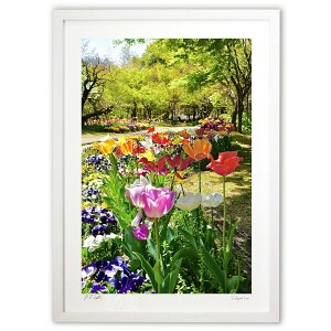 ŉ t̉Ԕ (mitan)CeA Ǌ| z i |X^[ A[g rO ւɏ  v[g _ A[gt[