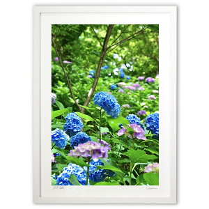 yX[p[SALEzzŉ AWTC̓m (mitan)CeA Ǌ| z i |X^[ A[g rO ւɏ  v[g _ A[gt[