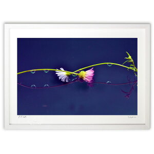 ŉ Ώ̌`̔ ( P)CeA Ǌ| z i |X^[ A[g rO ւɏ  v[g _ A[gt[