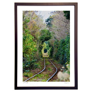 ŉ ΂̃gl (mitan)CeA Ǌ| z i |X^[ A[g rO ւɏ  v[g _ A[gt[