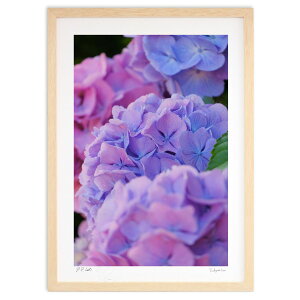 yX[p[SALEzzŉ AWTC̃Of[V (h)CeA Ǌ| z i |X^[ A[g rO ւɏ  v[g _ A[gt[