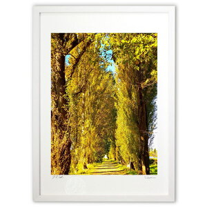 ŉ Fgl (Xm[oj)CeA Ǌ| z i |X^[ A[g rO ւɏ  v[g _ A[gt[