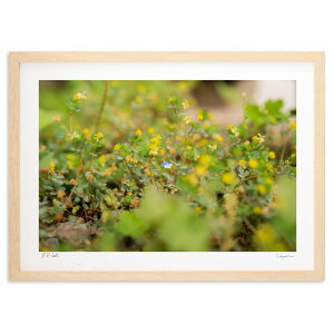 ŉ ۂƌK (Ȃ)CeA Ǌ| z i |X^[ A[g rO ւɏ  v[g _ A[gt[