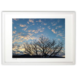 ŉ [̖ؗB (okiron)CeA Ǌ| z i |X^[ A[g rO ւɏ  v[g _ A[gt[