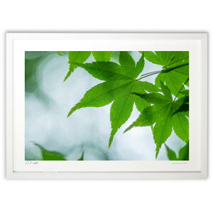 ŉ 萁΂݂̂ (bluewoods07)