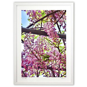 yX[p[SALEzzŉ sNF̓ (mitan)CeA Ǌ| z i |X^[ A[g rO ւɏ  v[g _ A[gt[