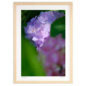 ŉ ԂJ}LƖ؉ÃAWTC (h)CeA Ǌ| z i |X^[ A[g rO ւɏ  v[g _ A[gt[