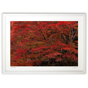 ŉ ʐ^@R悤ȍgt (magicalphoto)