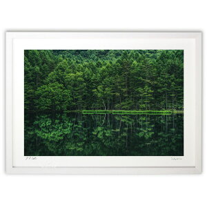 ŉ V΂̔]E (yam.kzt)CeA Ǌ| z i |X^[ A[g rO ւɏ  v[g _ A[gt[