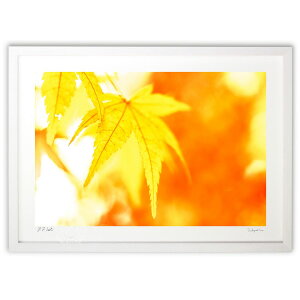 ŉ ʐ^@K̉F~W (magicalphoto)