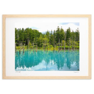 ŉ  (Xm[oj)CeA Ǌ| z i |X^[ A[g rO ւɏ  v[g _ A[gt[