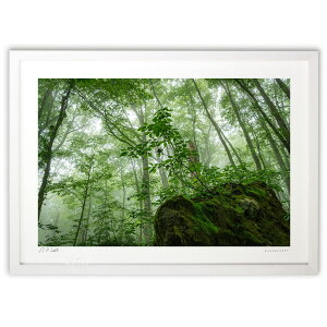 ŉ VΊɈ (bluewoods07)CeA Ǌ| z i |X^[ A[g rO ւɏ  v[g _ A[gt[