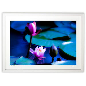 ŉ D̒rō炭 (쌛)CeA Ǌ| z i |X^[ A[g rO ւɏ  v[g _ A[gt[