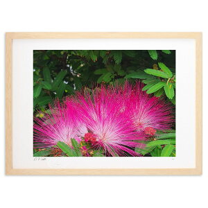 yX[p[SALEzzŉ ̉ԁB (okiron)CeA Ǌ| z i |X^[ A[g rO ւɏ  v[g _ A[gt[