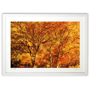 ŉ ʐ^@K^̍gt@ (magicalphoto)