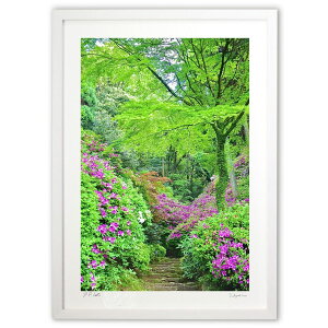 ŉ UP̐X (mitan)CeA Ǌ| z i |X^[ A[g rO ւɏ  v[g _ A[gt[