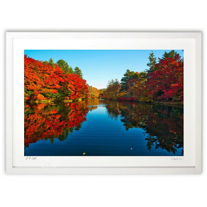 yX[p[SALEzzŉ y@gt̉_r (YKANEKO)CeA Ǌ| z i |X^[ A[g rO ւɏ  v[g _ A[gt[