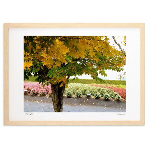 ŉ H̉Ԕ (Xm[oj)CeA Ǌ| z i |X^[ A[g rO ւɏ  v[g _ A[gt[