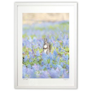 ŉ ԂƃG]X ({ \i)CeA Ǌ| z i |X^[ A[g rO ւɏ  v[g _ A[gt[